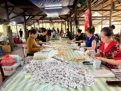 Khám phá tour Đồng bằng sông Mekong & Cái Bè (ảnh 2)