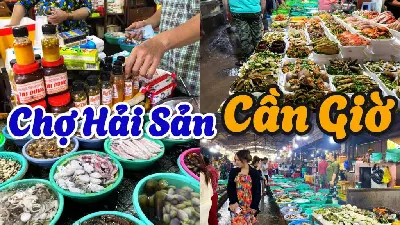 Tour tham quan Cần Giờ – Đảo Khỉ trong ngày (ảnh 4)