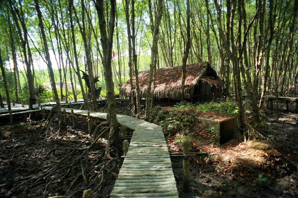 Tour tham quan Cần Giờ – Đảo Khỉ trong ngày