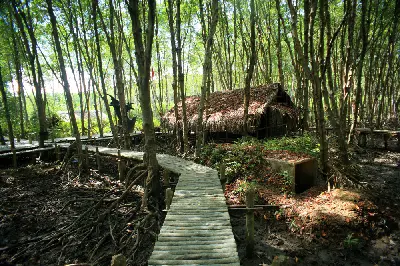 Tour tham quan Cần Giờ – Đảo Khỉ trong ngày