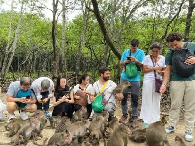 Tour tham quan Cần Giờ – Đảo Khỉ trong ngày (ảnh 5)
