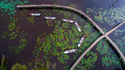 Tour du lịch sinh thái làng chài nổi Tân Lập trong ngày (ảnh 3)