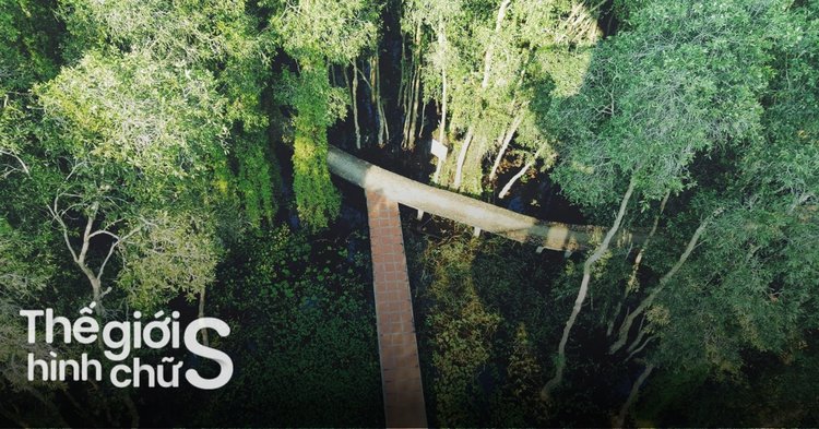 Tour du lịch sinh thái làng chài nổi Tân Lập trong ngày
