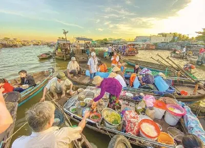 Bình minh trên sông: Chợ nổi Cái Răng và Vườn trái cây