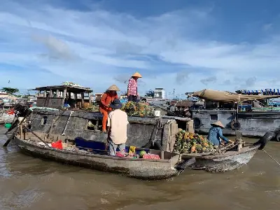 Bình minh trên sông: Chợ nổi Cái Răng và Vườn trái cây (ảnh 2)