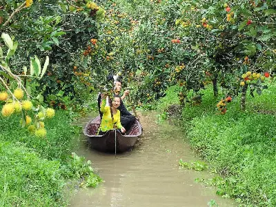 Bình minh trên sông: Chợ nổi Cái Răng và Vườn trái cây (ảnh 3)