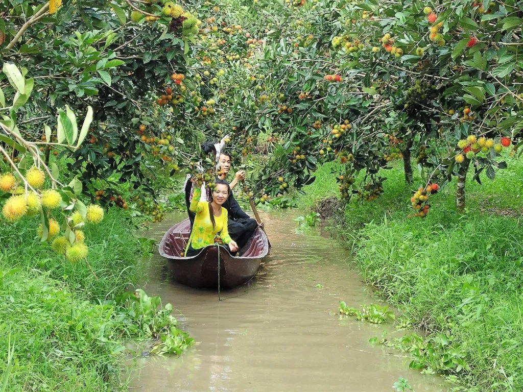 Bình minh trên sông: Chợ nổi Cái Răng và Vườn trái cây (ảnh 3)