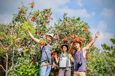 Bình minh trên sông: Chợ nổi Cái Răng và Vườn trái cây (ảnh 4)