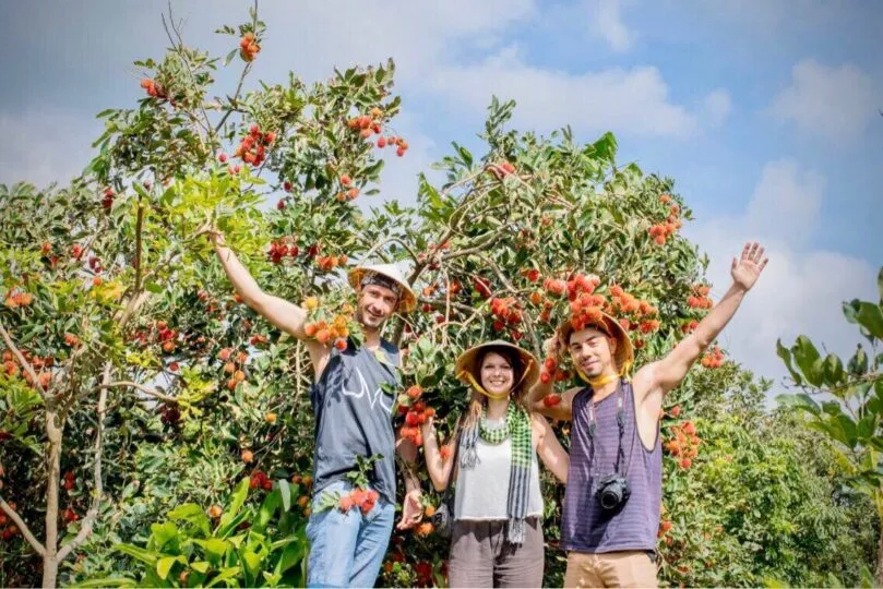 Bình minh trên sông: Chợ nổi Cái Răng và Vườn trái cây (ảnh 4)