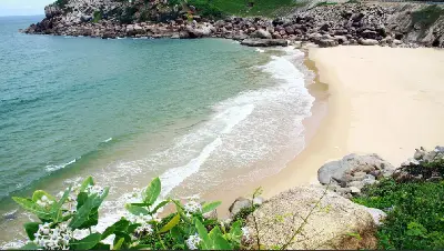 Cano Bus Vịnh Nha Trang kèm đón nội thành miễn phí (照片 2)