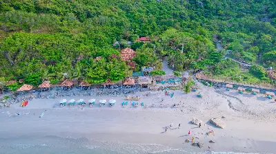 Cano Bus Vịnh Nha Trang kèm đón nội thành miễn phí (照片 3)
