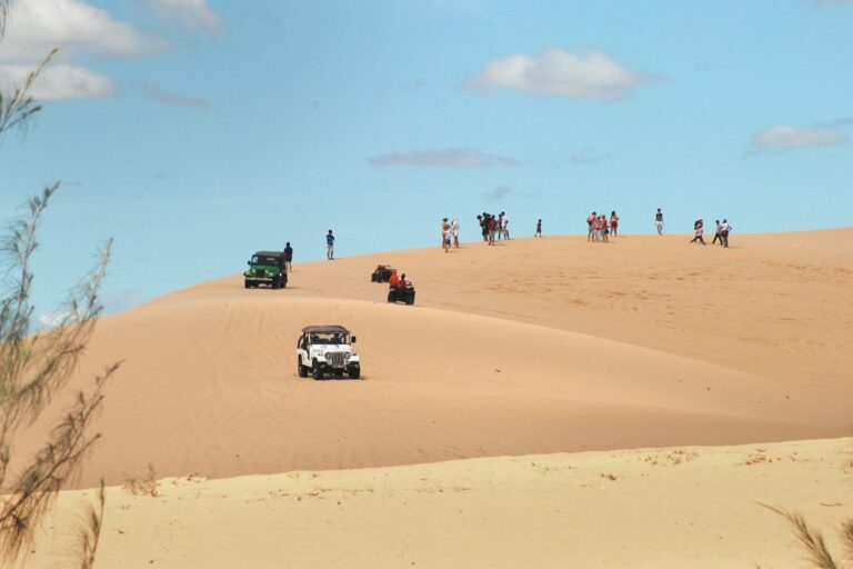 TOUR MŨI NÉ KHỞI HÀNH TỪ HỒ CHÍ MINH – MIỄN PHÍ ĐƯA ĐÓN QUẬN 1 (사진 3)