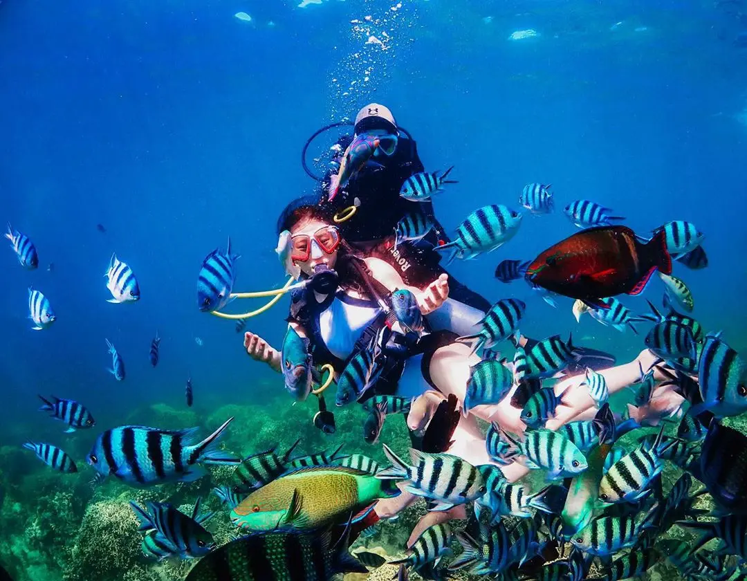 Tour lặn khám phá đáy biển Nha Trang — Nha Trang, Việt Nam
