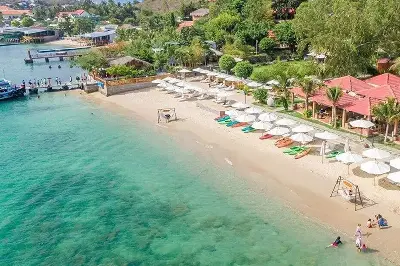 Tour lặn khám phá đáy biển Nha Trang (ảnh 2)