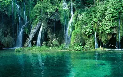 TOUR RẠCH VẸM KHÁM PHÁ BẮC ĐẢO PHÚ QUỐC 1 NGÀY