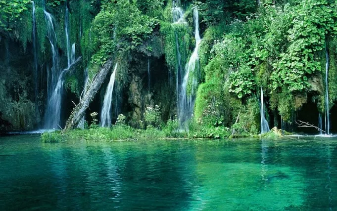 TOUR RẠCH VẸM KHÁM PHÁ BẮC ĐẢO PHÚ QUỐC 1 NGÀY