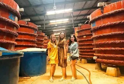 TOUR NAM ĐẢO PHÚ QUỐC 1 NGÀY – THAM QUAN 6 ĐIỂM NỔI TIẾNG (photo 3)