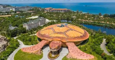 TOUR VINWONDERS PHÚ QUỐC & GRAND WORLD 1 NGÀY (photo 2)