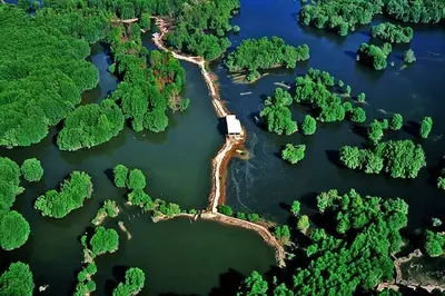 TOUR CẦN GIỜ - VŨNG TÀU: ĐẢO KHỈ - RỪNG SÁC - BIỂN - ĐÌNH - TƯỢNG CHÚA - LÀNG CHÀI (ảnh 2)