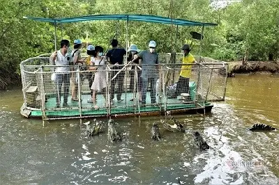 TOUR CẦN GIỜ - VŨNG TÀU: ĐẢO KHỈ - RỪNG SÁC - BIỂN - ĐÌNH - TƯỢNG CHÚA - LÀNG CHÀI (照片 4)