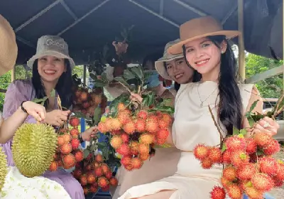 TOUR LONG KHÁNH VƯỜN HÁI TRÁI - ĂN THỎA SỨC - VUI CHƠI SIÊU CÔNG VIÊN NƯỚC AMAZING BAY (фото 2)