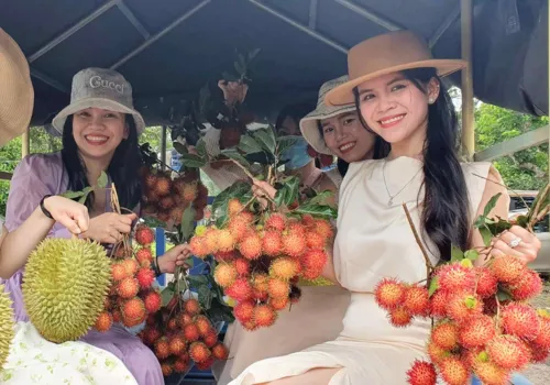 TOUR LONG KHÁNH VƯỜN HÁI TRÁI - ĂN THỎA SỨC - VUI CHƠI SIÊU CÔNG VIÊN NƯỚC AMAZING BAY (ảnh 2)