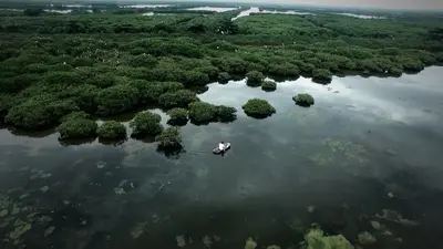 紅樹林之旅 – 鱷魚保護區、榕沙根據地、海灘 & 海鮮市場 (照片 4)