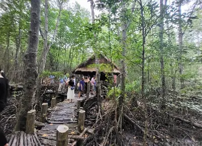 TOUR RỪNG NGẬP MẶN - KHU BẢO TỒN CÁ SẤU - CĂN CỨ RỪNG SÁC - BIỂN - CHỢ HẢI SẢN (ảnh 2)