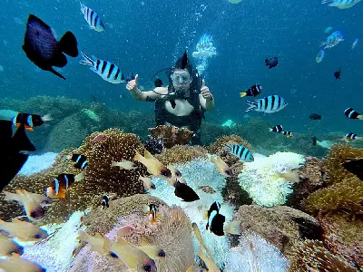 Tour lặn khám phá đáy biển Nha Trang (ảnh 5)