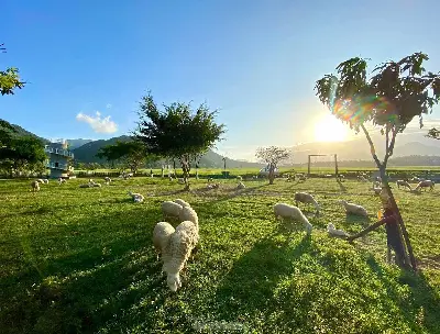 TOUR NINH THUẬN TỪ NHA TRANG ƯU ĐÃI – MIỄN PHÍ BỮA TRƯA
