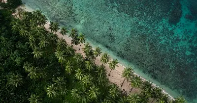 Bãi biển Đầm Bấy (Fun Island) đảo Hòn Tre Nha Trang nước trong xanh