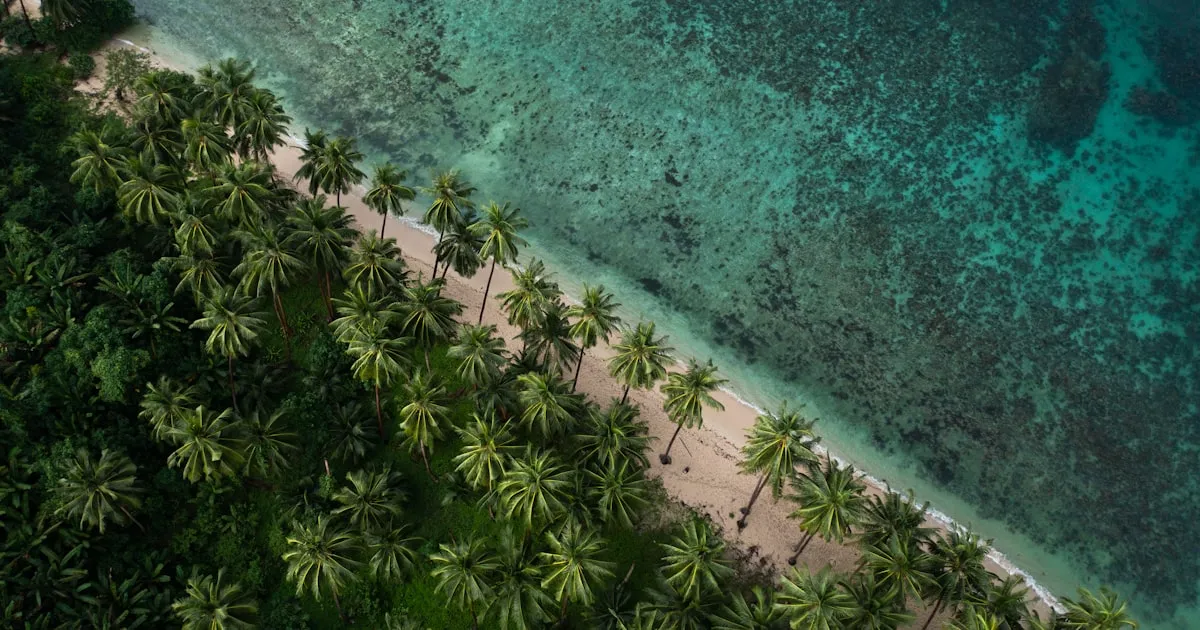 芽莊 Hòn Tre 島 Đầm Bấy(Fun Island)海灘清澈湛藍的海水