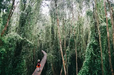 TOUR THAM QUAN LÀNG NỔI TÂN LẬP - NHÀ CỔ PHƯỚC LỘC THỌ - NGẮM BIÊN GIỚI CAMPUCHIA 1 NGÀY. KHỞI HÀNH THỨ 7 CHỦ NHẬT