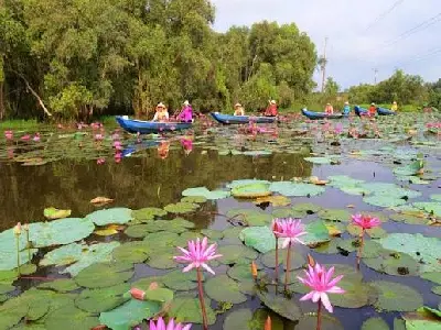 TOUR THAM QUAN CHỢ NỔI CÁI BÈ - CÙ LAO TÂN PHONG - VƯỜN TRÁI CÂY 1 NGÀY (ảnh 2)