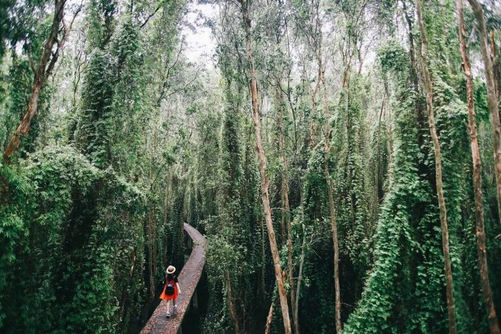 TOUR MIỀN TÂY 1 NGÀY TÁT MƯƠNG BẮT CÁ