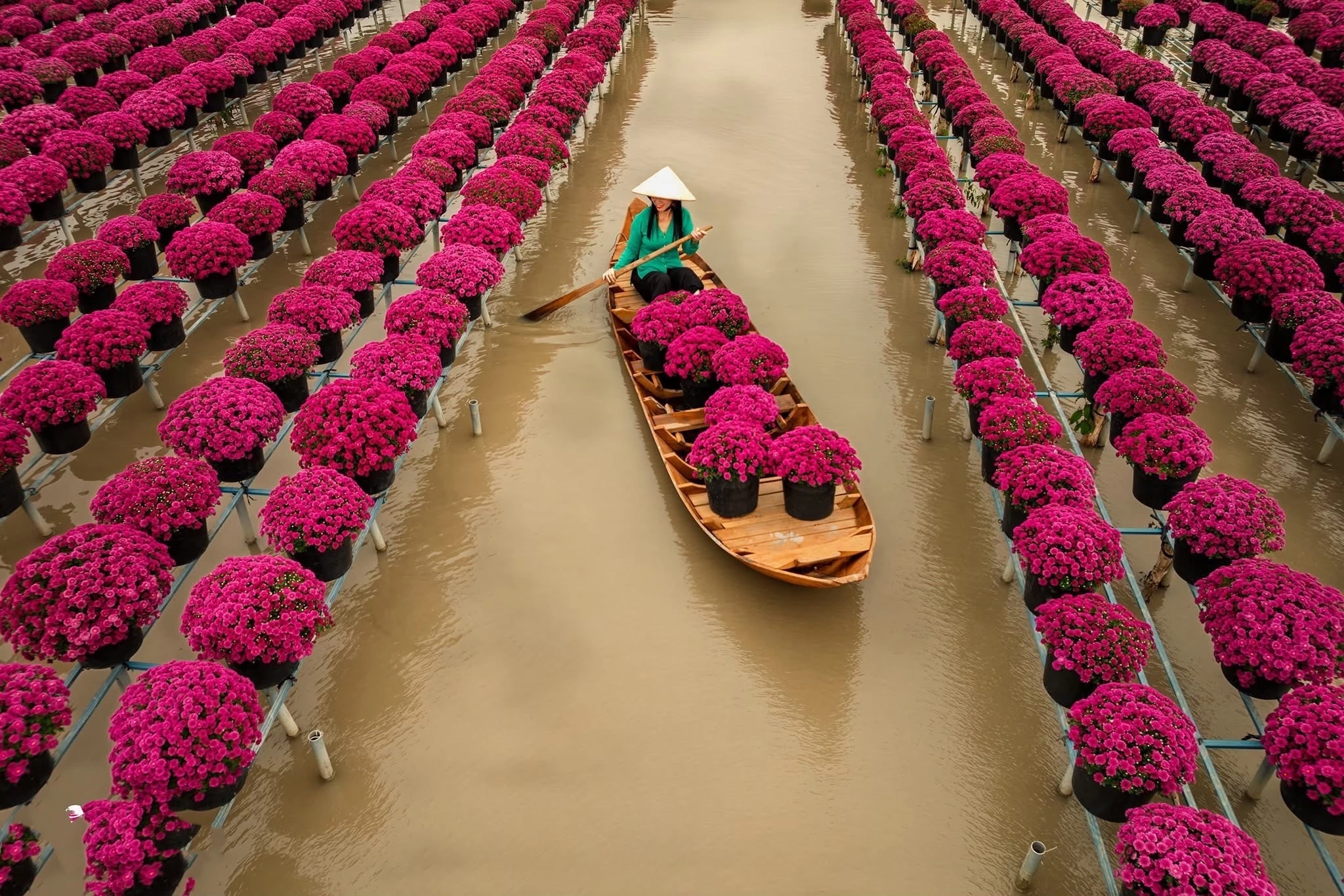TOUR HỒ CHÍ MINH - ĐỒNG THÁP (LÀNG HOA SA ĐÉC - HAPPY LAND HÙNG THY - VƯỜN QUÝT HỒNG LAI VUNG - CHÙA LÁ SEN)
