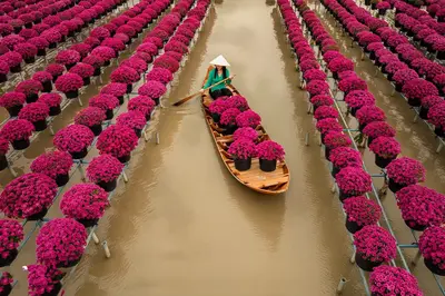 TOUR HỒ CHÍ MINH - ĐỒNG THÁP (LÀNG HOA SA ĐÉC - HAPPY LAND HÙNG THY - VƯỜN QUÝT HỒNG LAI VUNG - CHÙA LÁ SEN)