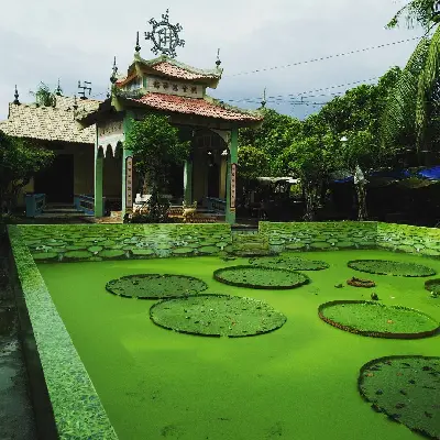 TOUR HỒ CHÍ MINH - ĐỒNG THÁP (LÀNG HOA SA ĐÉC - HAPPY LAND HÙNG THY - VƯỜN QUÝT HỒNG LAI VUNG - CHÙA LÁ SEN) (ảnh 3)