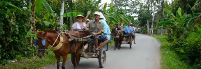 TOUR HỒ CHÍ MINH - MỸ THO (BẾN TRE - VƯỜN BƯỞI DA XANH) (ảnh 4)