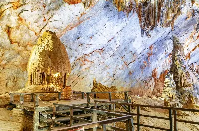 TRẢI NGHIỆM ĐỘNG THIÊN ĐƯỜNG - HANG CHỈ HUY - TANG'S FARM (ảnh 2)