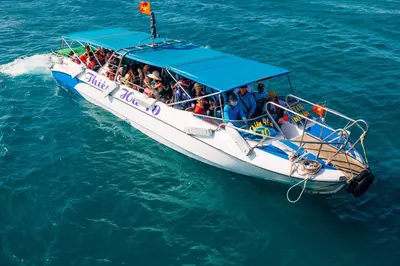 So sánh thuê cano riêng và cano ghép đi đảo Nha Trang
