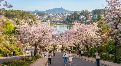 Đà Lạt bốn mùa và đường đi từ Nha Trang
