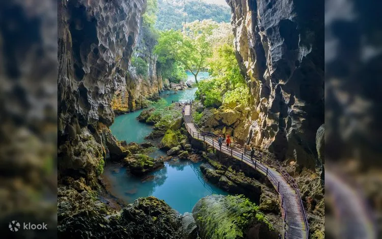 TOUR VƯỜN THỰC VẬT - ĐỘNG THIÊN ĐƯỜNG  - ĐỘNG PHONG NHA