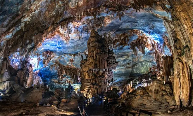 TOUR VƯỜN THỰC VẬT - ĐỘNG THIÊN ĐƯỜNG  - ĐỘNG PHONG NHA — Quảng Bình, Việt Nam
