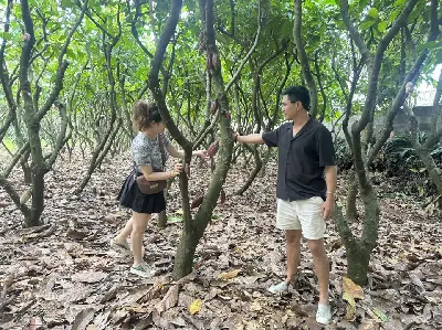 TOUR BUÔN MA THUỘT-THÁC DRAY SÁP- DAKLAK (照片 4)