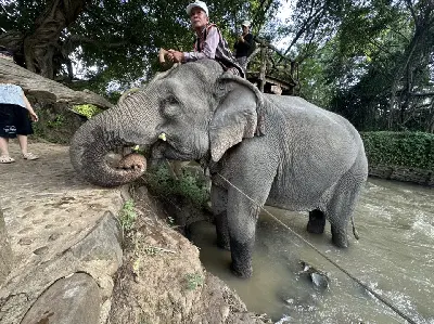 TOUR THÁC DRAY NUR - BUÔN ĐÔN