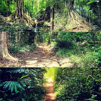 PLEIKU TREKKING TOUR – KON KA KINH NATIONAL PARK (photo 2)