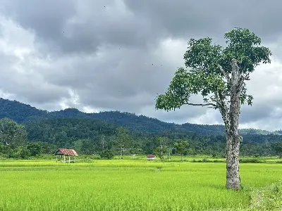 PLEIKU TREKKING TOUR – KON KA KINH NATIONAL PARK (photo 5)