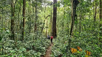 PLEIKU TREKKING TOUR – KON KA KINH NATIONAL PARK (photo 3)