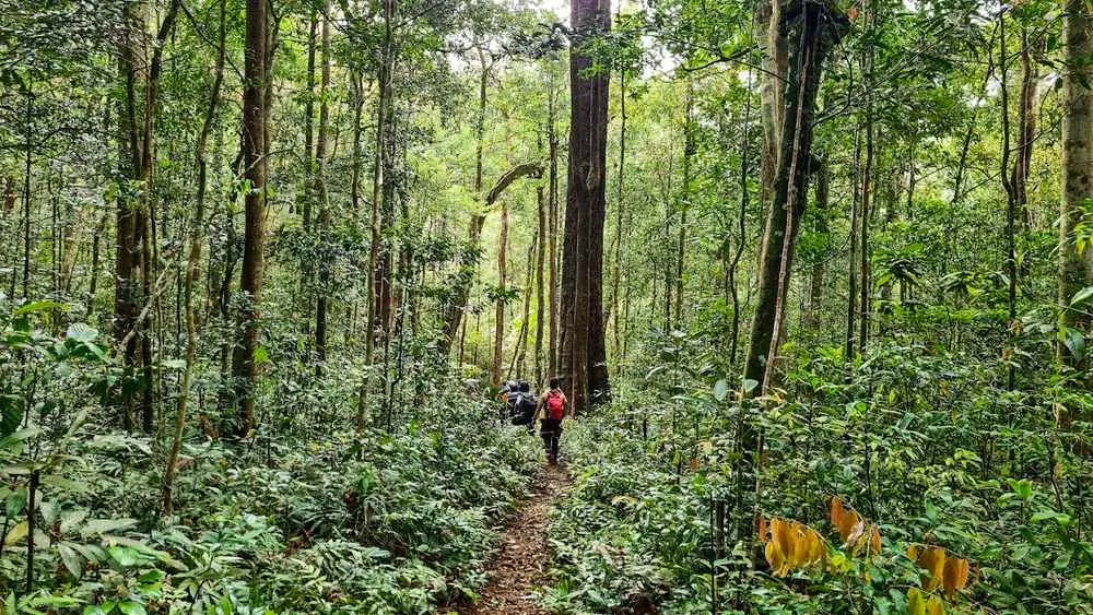 TOUR PLEIKU TREKKING VƯỜN QUỐC GIA KON KA KINH (ảnh 3)